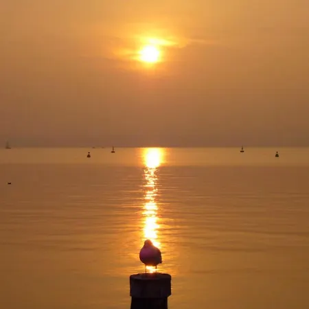 The Captain アパート シルミオーネ